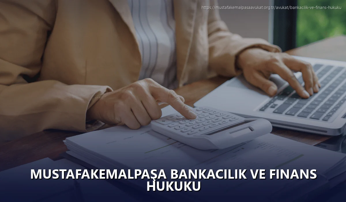 Mustafakemalpaşa Bankacılık ve Finans Hukuku