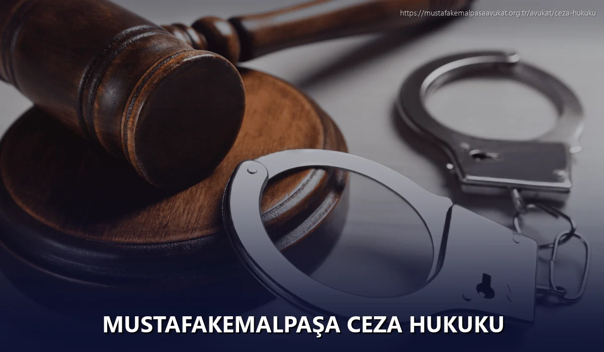 Mustafakemalpaşa Ceza Hukuku